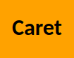 Caret logo