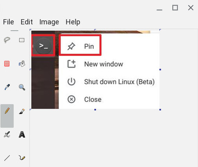 Gnome