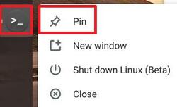 pin